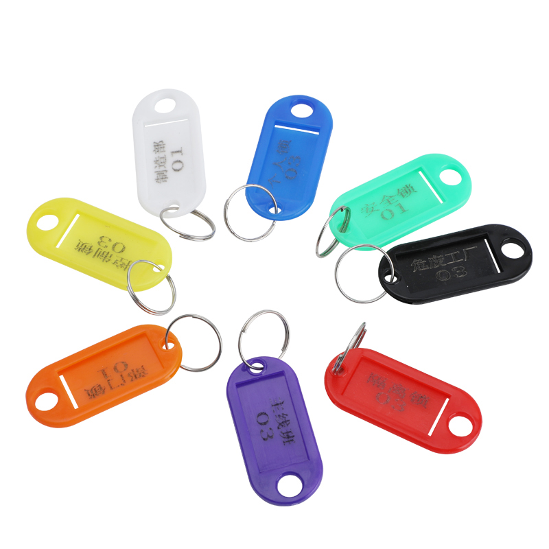 Customized Logo PP Plastic Marker Keychain Colorful Id Key Label Name Tag Oval Id Tag With Ring Custom Plastic Keychain